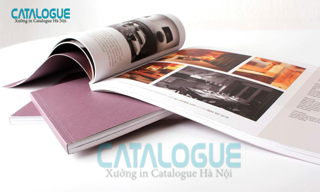 in catalogue giá rẻ hiện nay