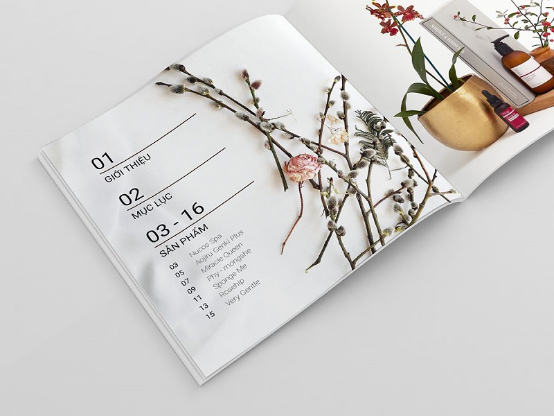 Catalogue thiết kế đơn giản